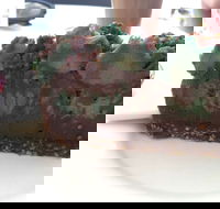 Ruby's Organic Cafe - Book Restaurant