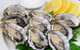 The Jetty Darwin Restaurant - thumb 1