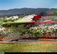 Hanging Tree Wines - Book Restaurant