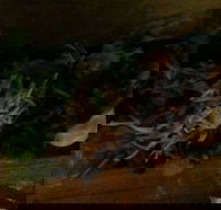 O Sushi - Book Restaurant