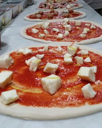 Saluti