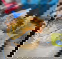 Black Duck Gourmet Pantry - Book Restaurant