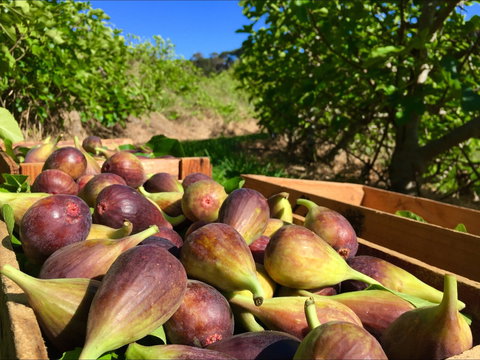 Glen Ewin Estate - Book Restaurant 2