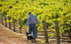 Eden Hall Wines - thumb 1