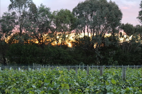 Haldon Estate Wines - Book Restaurant 2
