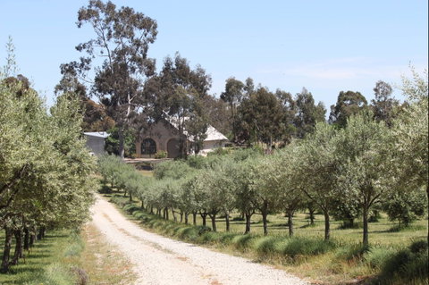 L'Oliveraie Olive Grove - Book Restaurant 0
