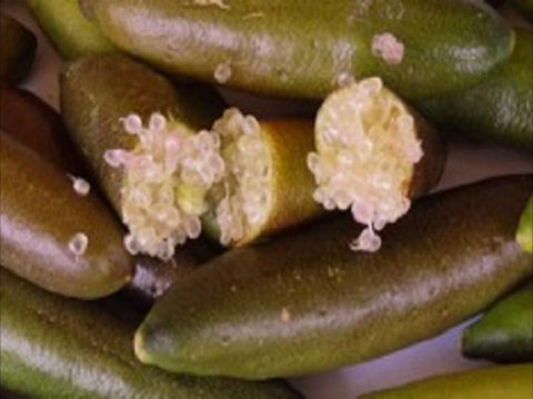 Sandy Creek Olives And Finger Limes - Book Restaurant 0