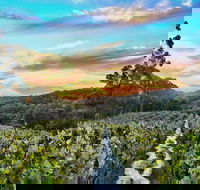Between the Vines Cellar Door - Book Restaurant