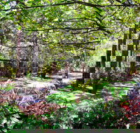 Naked Apple Cider - Book Restaurant