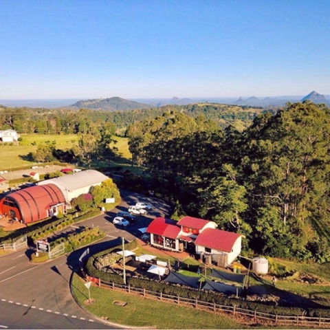 Live Foods Cafe - Book Restaurant 0