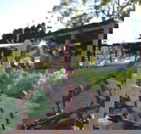 Ugly Duckling Wines - Book Restaurant