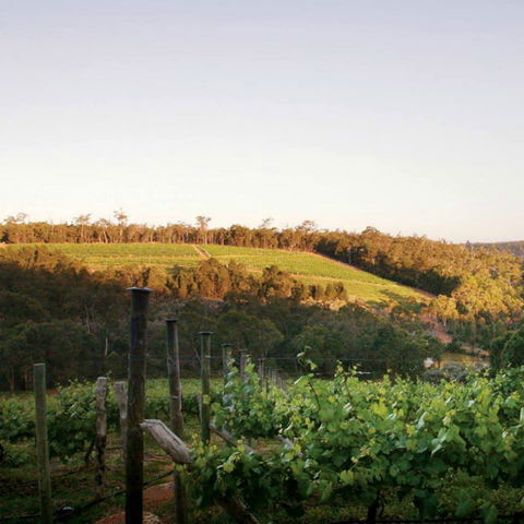 Darlington Estate Winery And Restaurant - Book Restaurant 0