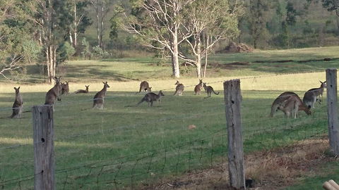 Mistletoe Winery - Book Restaurant 1
