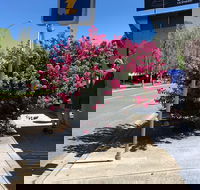 Alpine Gate Cafe - Book Restaurant