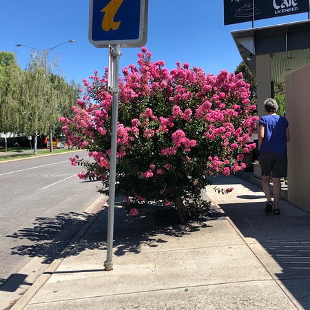 Alpine Gate Cafe - Book Restaurant 0