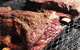 Meating Room - thumb 3