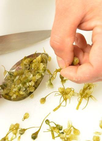 Wild Harvest Restaurant King Island - Book Restaurant 1