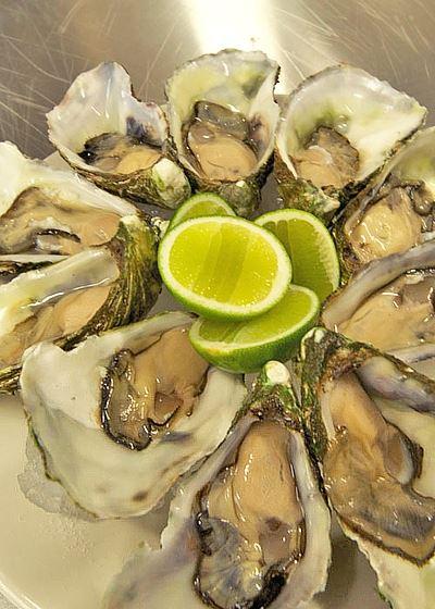 Wild Harvest Restaurant King Island - Book Restaurant 6