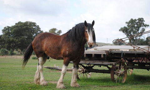 Rollonin Cafe - Book Restaurant 4