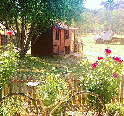 Rollonin Cafe - Book Restaurant 7