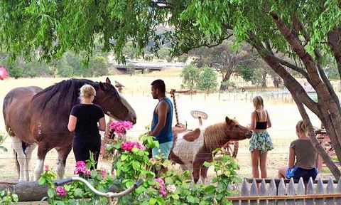 Rollonin Cafe - Book Restaurant 8