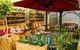 Livingstone's Urban Jungle - thumb 10
