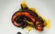 Incanto Restaurant - thumb 1