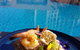Aqua Restaurant & Bar - thumb 5