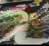 The Pub - Book Restaurant