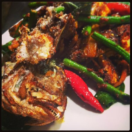 Byron Bay NSW Book Restaurant