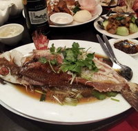 Shark Fin Inn - Book Restaurant