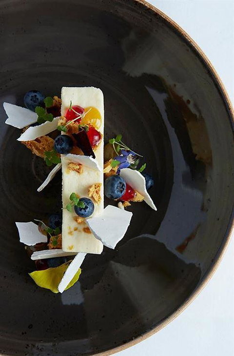 Mr. Tod Cafe - Book Restaurant 4