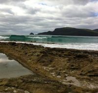 Bruny Island Berry Farm - Book Restaurant