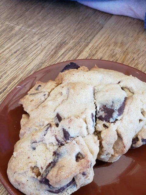 Bruny Island Cafe - Book Restaurant 2