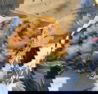 Chef's Catch - Book Restaurant