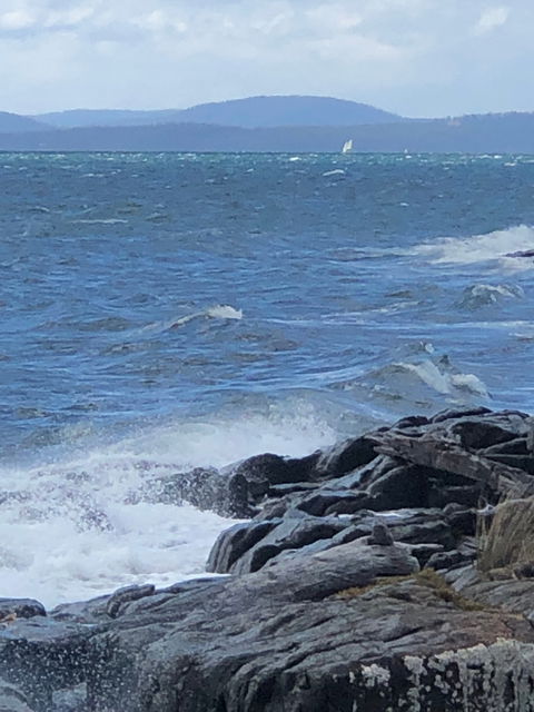 Get Shucked Oyster - Book Restaurant 2