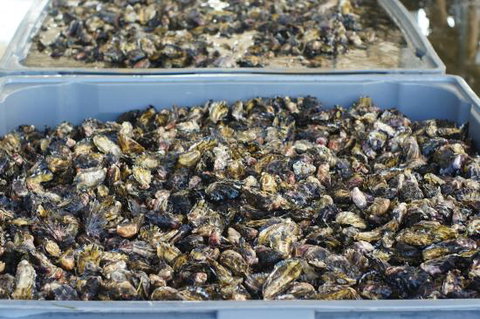 Lease 65 - Book Restaurant 0