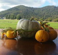 Mount Gnomon Farm - Book Restaurant