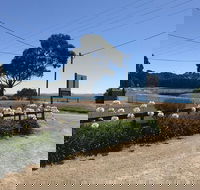 Penguin  Pardalote Coffee House - Book Restaurant