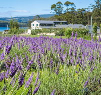 Port Arthur Lavender - Book Restaurant