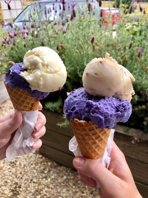 Port Arthur Lavender - Book Restaurant 2