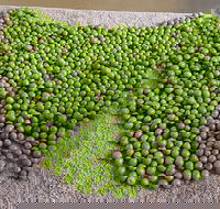 Wattle Hill Olives - Book Restaurant