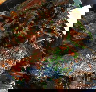 Ciao Italia - Book Restaurant