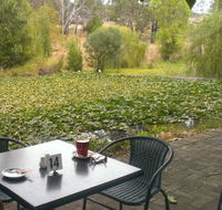 Avocados - Book Restaurant