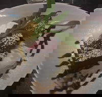 The Lookout - Book Restaurant