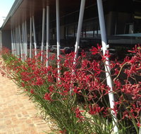 BiteZ - Book Restaurant