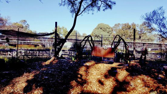 Hazelmere WA Book Restaurant