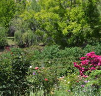 Berry Delightful - Book Restaurant