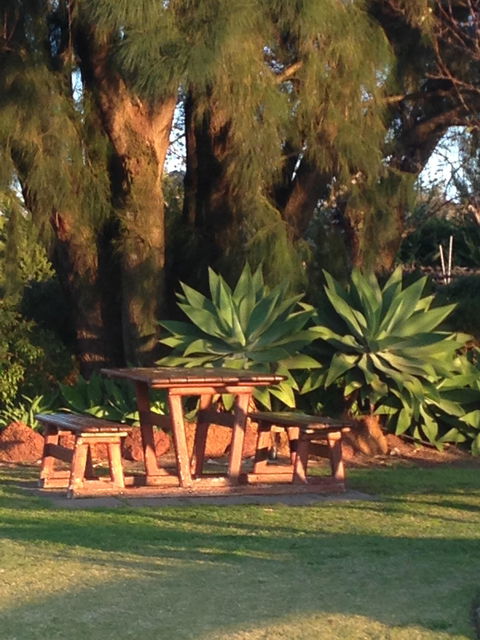 Newbliss Winery - Book Restaurant 4