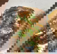 Putt Putts Pasta - Book Restaurant